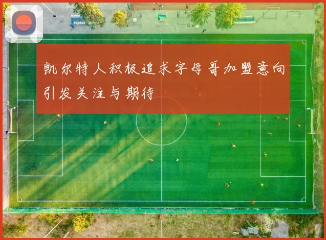 凯尔特人积极追求字母哥加盟意向引发关注与期待